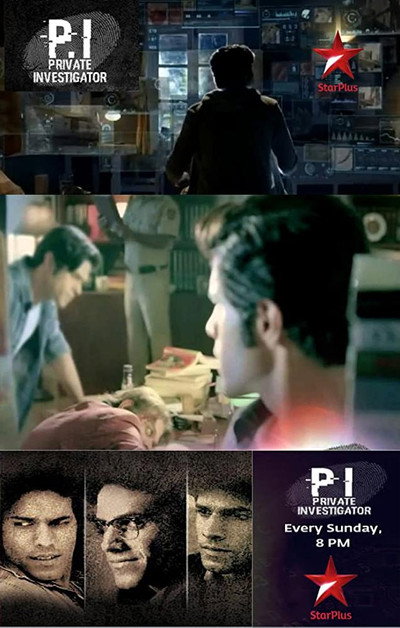 Póster de Private Investigator