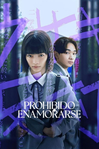 Póster de Prohibido enamorarse