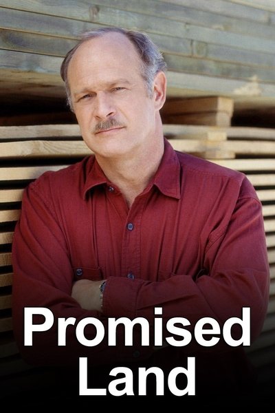 Póster de Promised Land