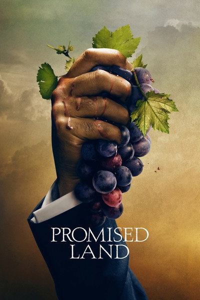 Póster de Promised Land