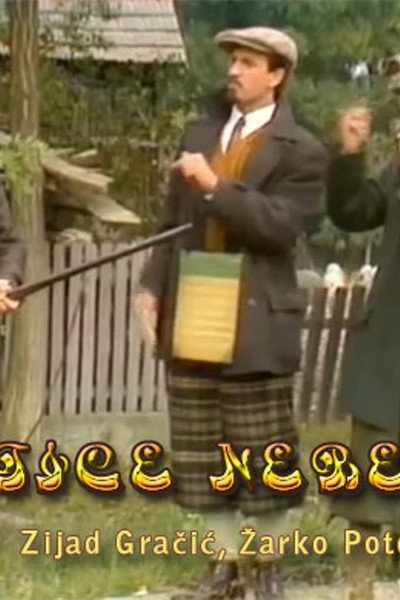 Póster de Ptice nebeske