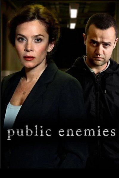 Póster de Public Enemies