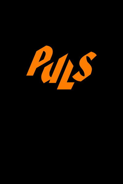 Póster de Pulse