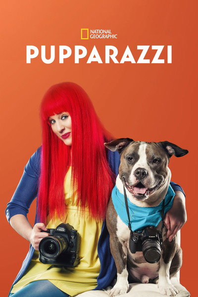 Póster de Pupparazzi