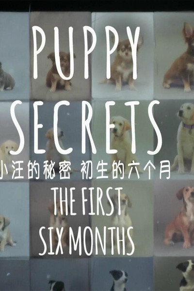 Póster de Puppy Secrets: The First Six Months