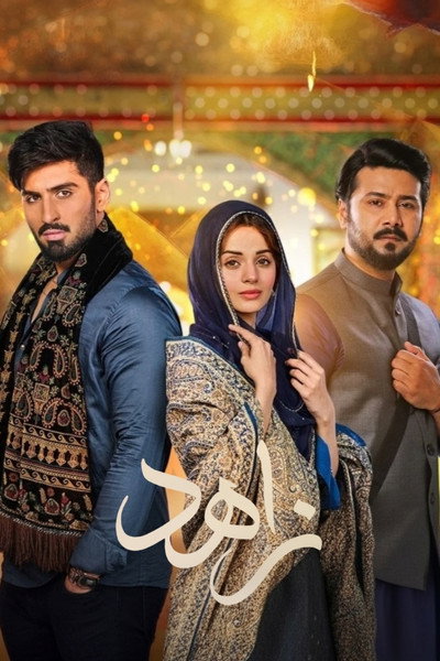 Póster de Qalandar