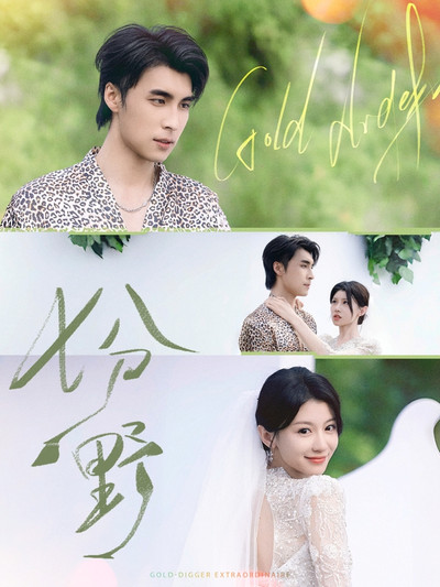 Póster de Qi Fen Ye