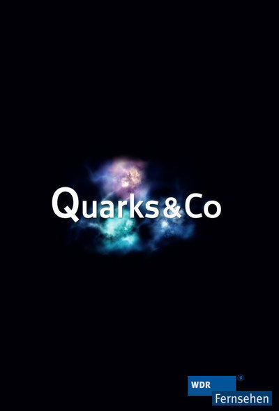 Póster de Quarks