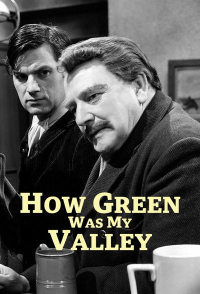 Póster de Qué verde era mi valle