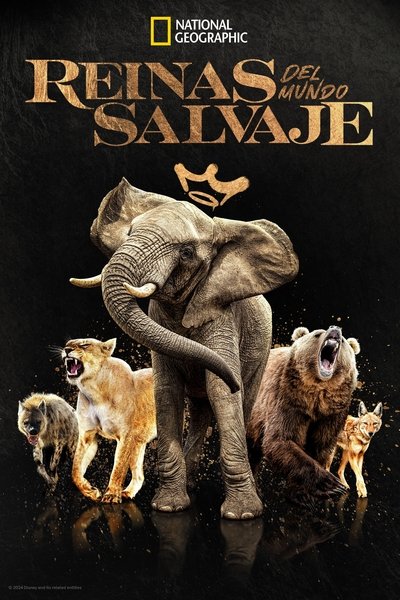 Póster de Queens
