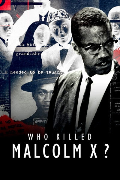 Póster de ¿Quién mató a Malcom X?