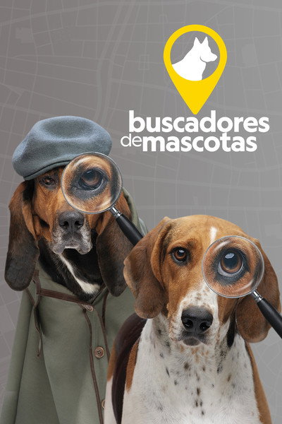 Póster de Radar Pet