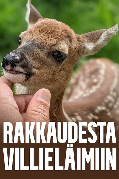 Póster de Rakkaudesta villieläimiin