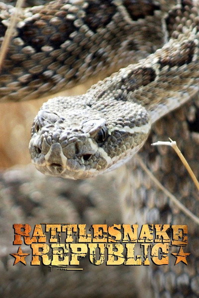 Póster de Rattlesnake Republic