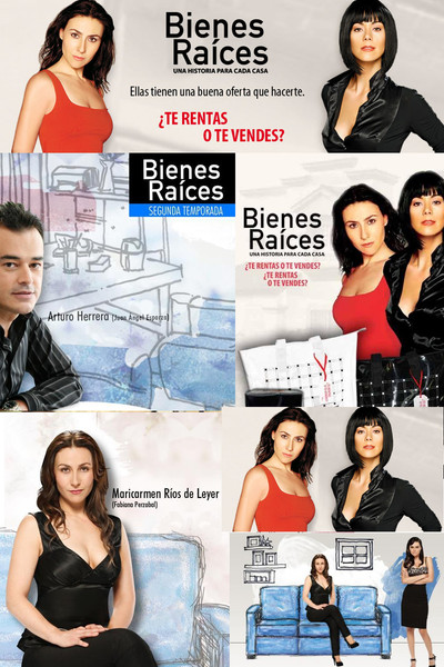 Póster de Real Estate