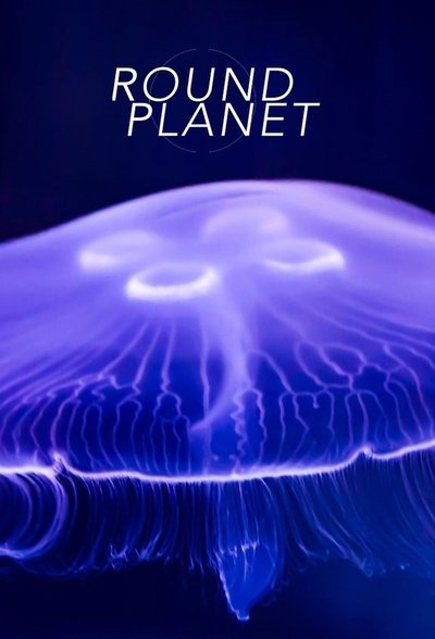 Póster de Recorriendo el mundo