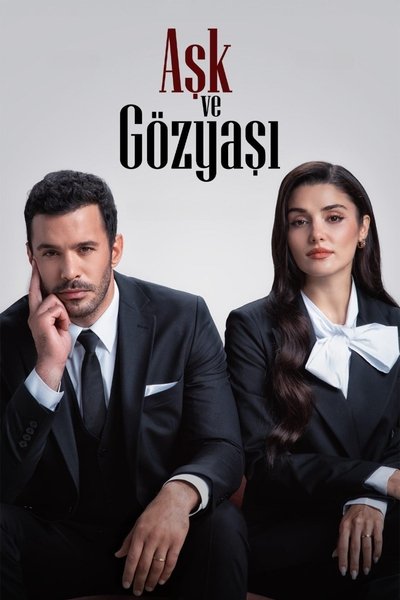 Póster de Recuerda el amor