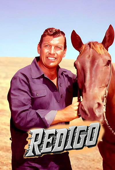Póster de Redigo
