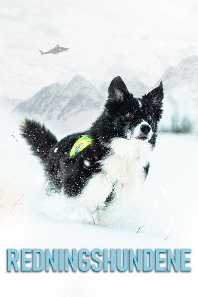 Póster de Redningshundene