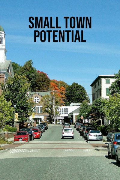 Póster de Reformas en el Hudson