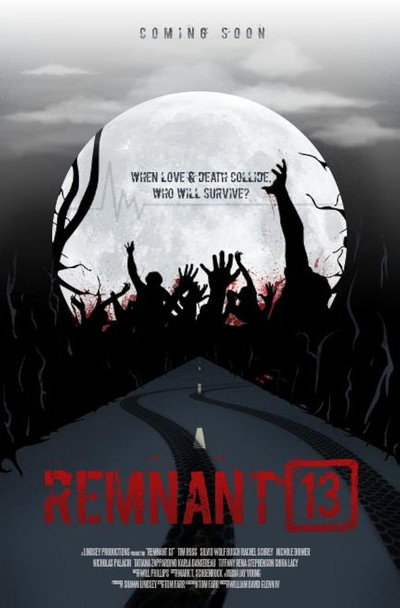 Póster de Remnant 13