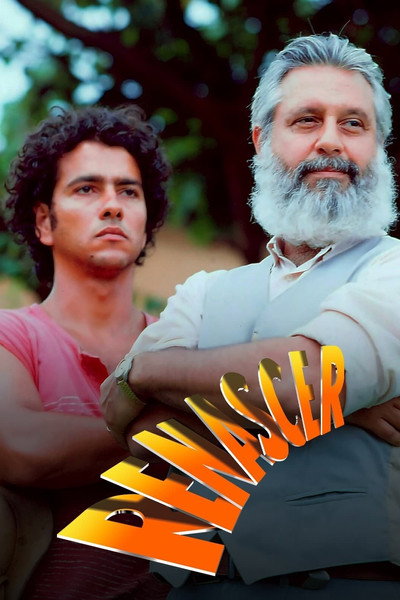 Póster de Renascer