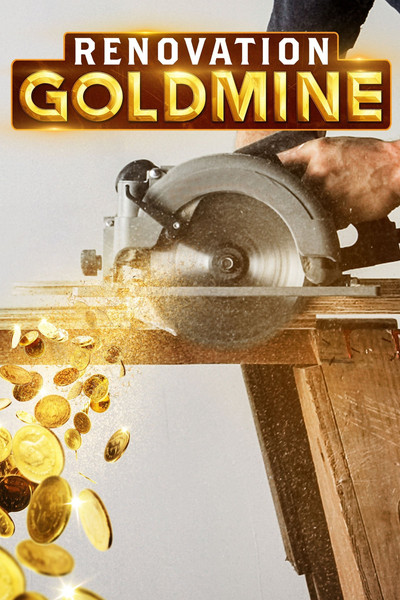 Póster de Renovation Goldmine