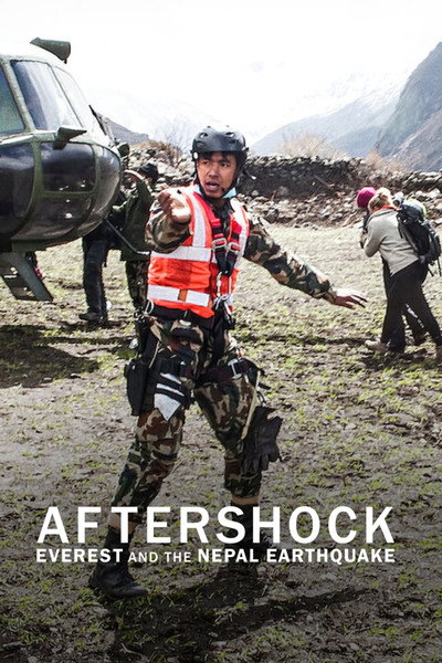 Póster de Réplica: Everest y el terremoto de Nepal
