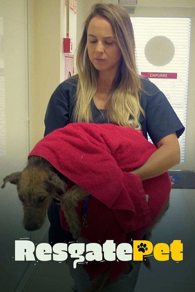 Póster de Rescate Pet