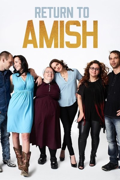 Póster de Return to Amish