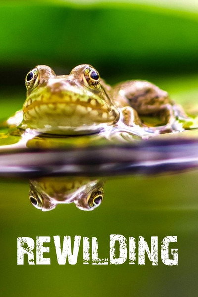 Póster de Rewilding