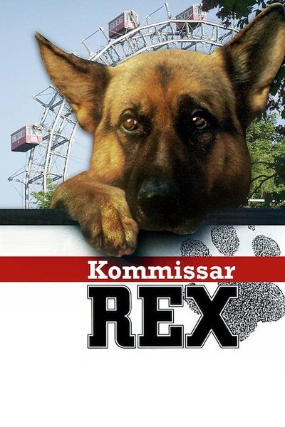 Póster de Rex: Un policía diferente