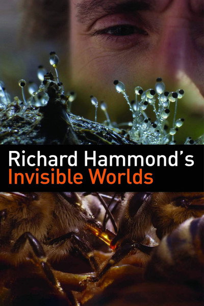 Póster de Richard Hammond's Invisible Worlds