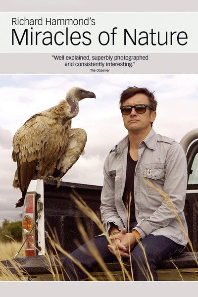 Póster de Richard Hammond's Miracles of Nature