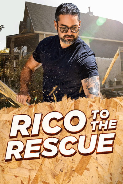 Póster de Rico al rescate