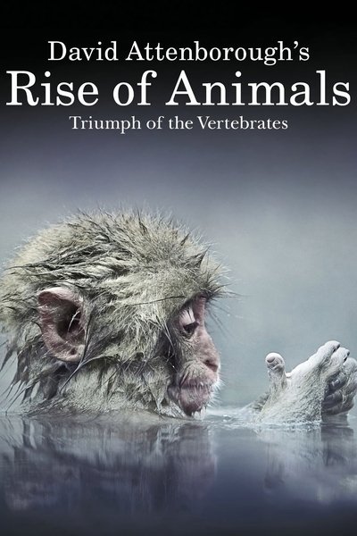 Póster de Rise of Animals: Triumph of the Vertebrates