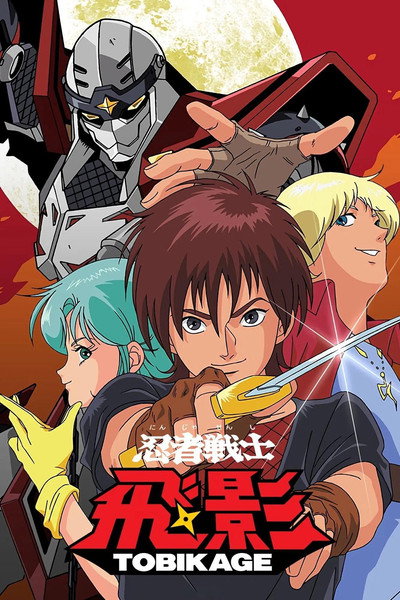Póster de Robots Ninja
