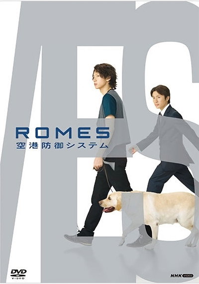 Póster de Romes: Airport Protective System
