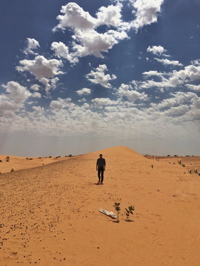 Póster de Sahara