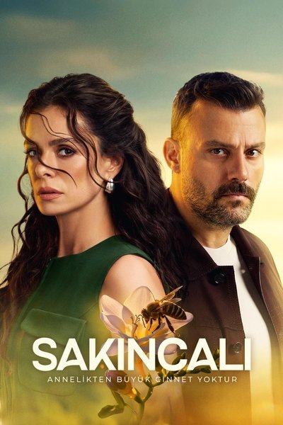 Póster de Sakincali