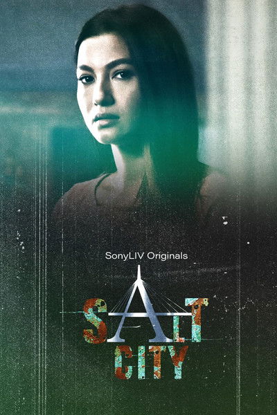 Póster de Salt City