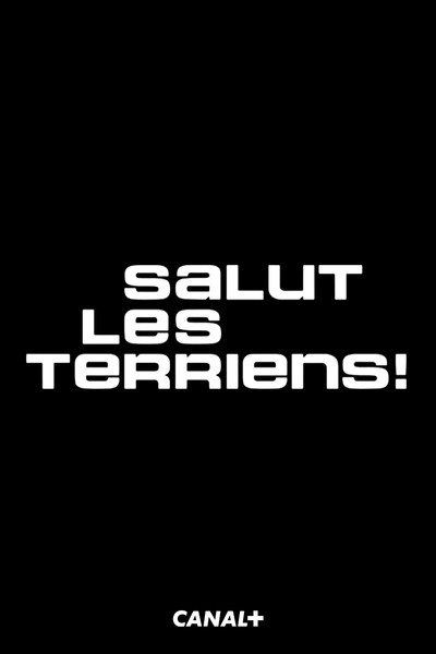 Póster de Salut les Terriens