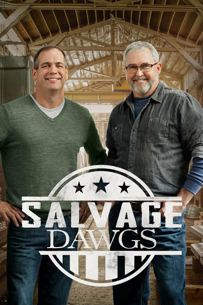 Póster de Salvage Dawgs
