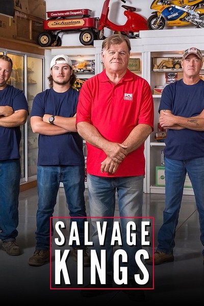 Póster de Salvage Kings
