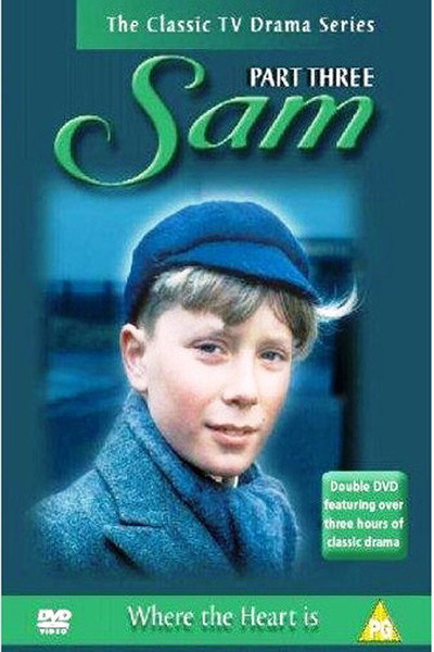 Póster de Sam