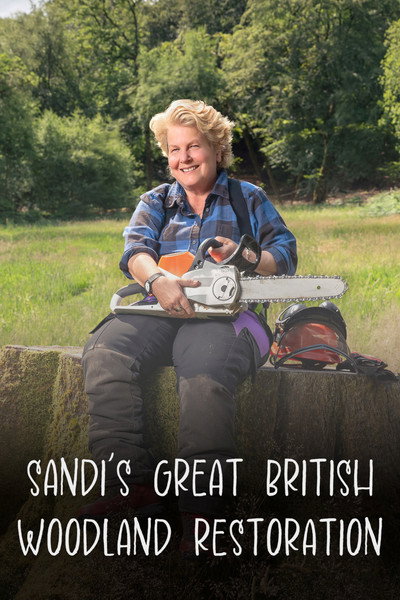 Póster de Sandi's Wood