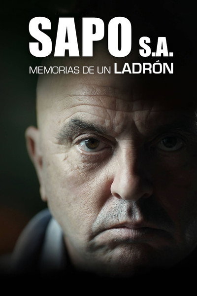Póster de Sapo S.A. Memorias de un ladrón