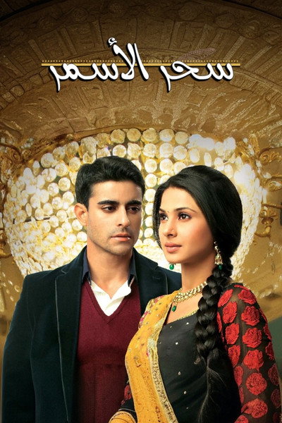 Póster de Saraswatichandra