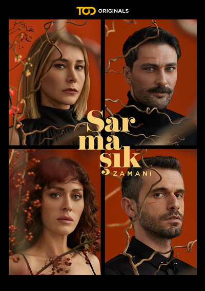 Póster de Sarmasik Zamani
