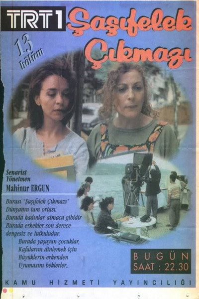Póster de Sasifelek Çikmazi
